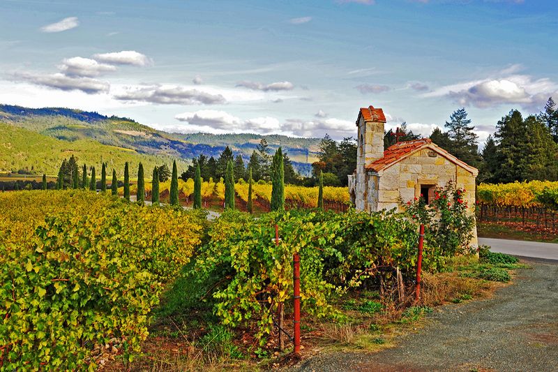 27_Napa Valley, CA.jpg