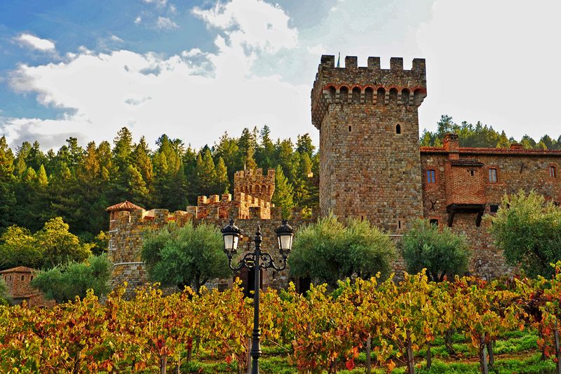 30_Napa Valley, CA.jpg