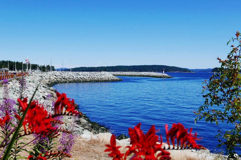 02_Sidney waterfront.jpg