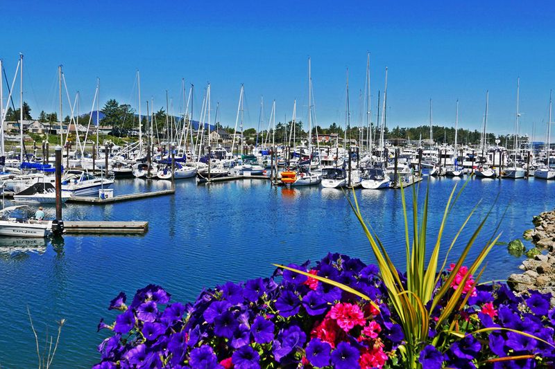 03_Sidney waterfront.jpg