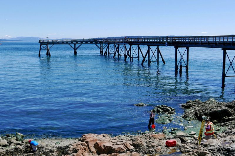 05_Sidney waterfront.jpg