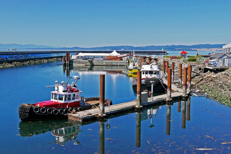 11_A shipyard in Victoria.jpg