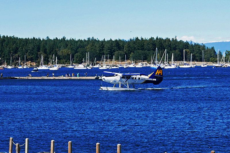 33_Happy landing on water.jpg