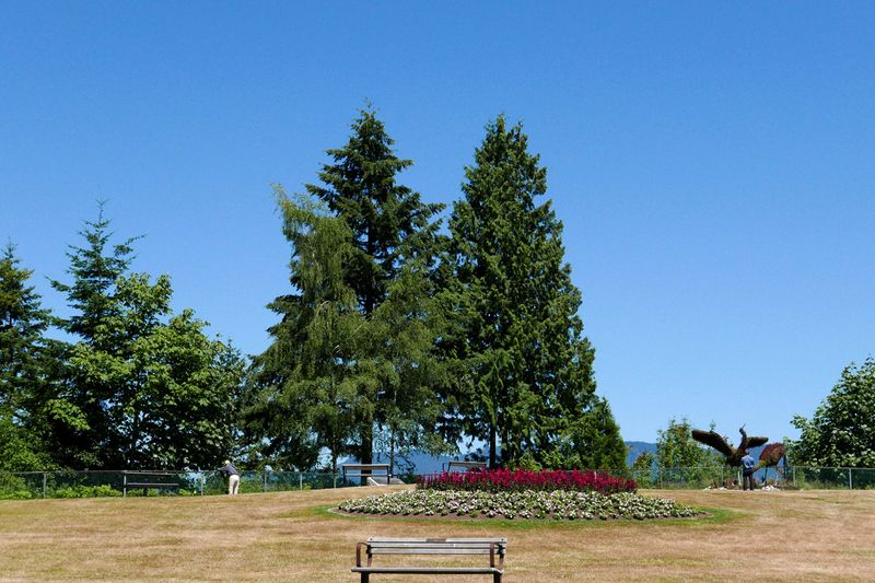 57_Burnaby_Double tree.jpg