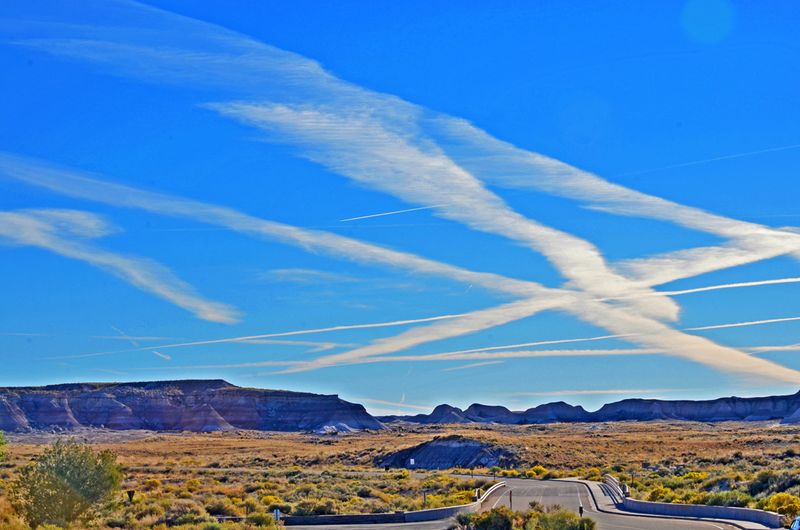 19_Petrified Forest National Park, AZ.jpg