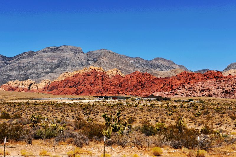 35_Red Rock Canyon, NV.jpg