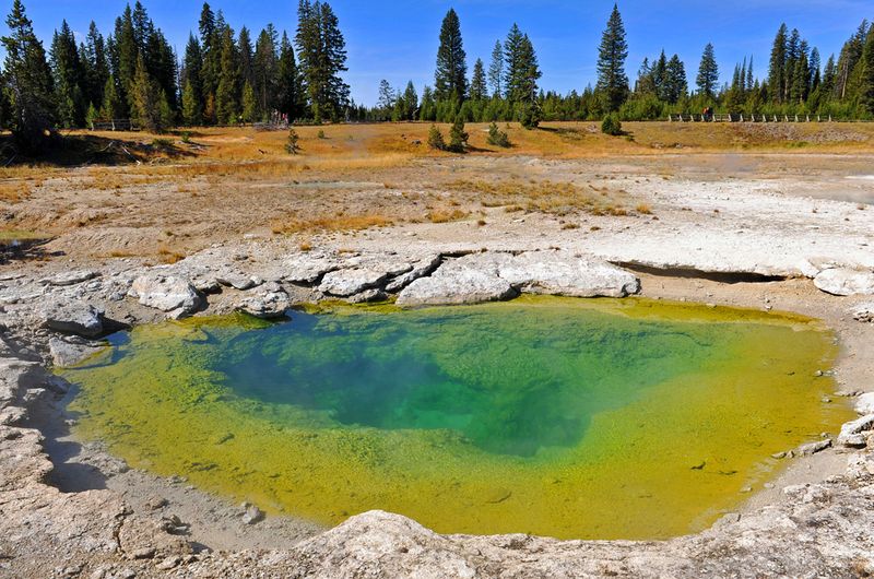 Yellowstone_57.jpg