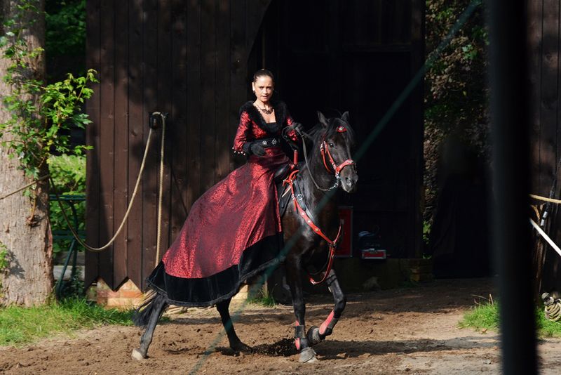 54_Only my horse can carry me out of here.jpg