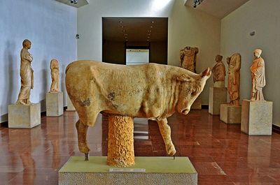 25_A bull dedicated to Zeus.jpg