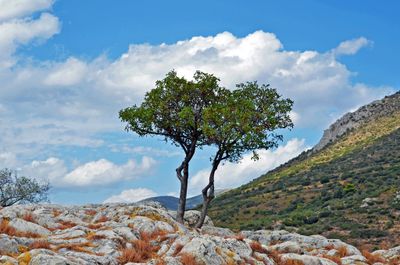 10_Mycenae Archaeological Site.jpg