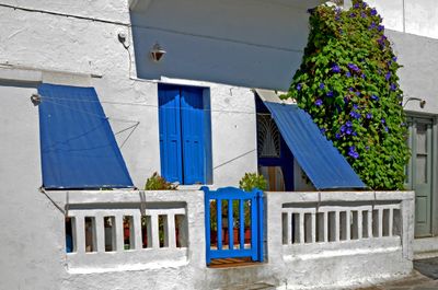 23_Blue and white.jpg