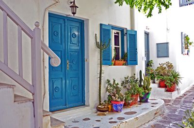 27_Blue and white.jpg