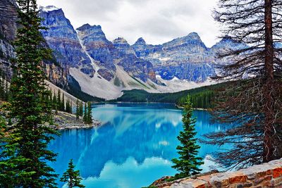 Canadian Rockies 