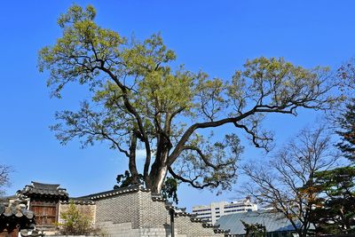 Late Autumn in Korea