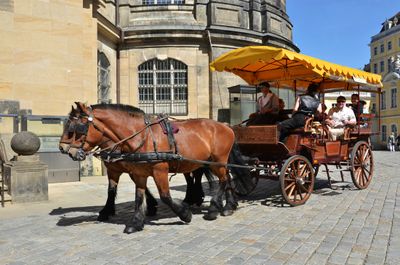 Dresden