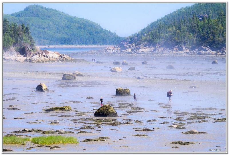 Parc national du Bic