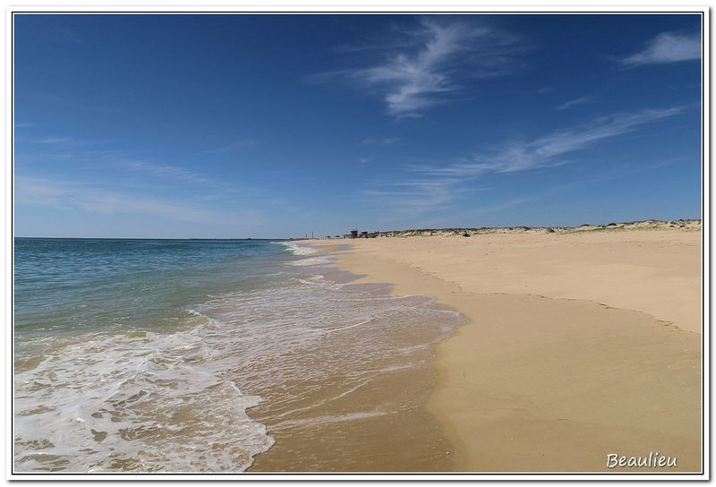 13 Ile de Culatra