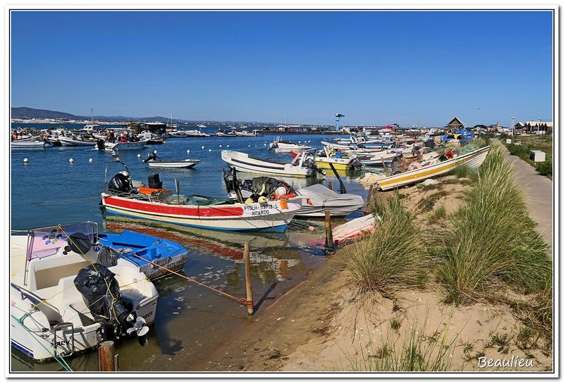 17 Ile de Culatra