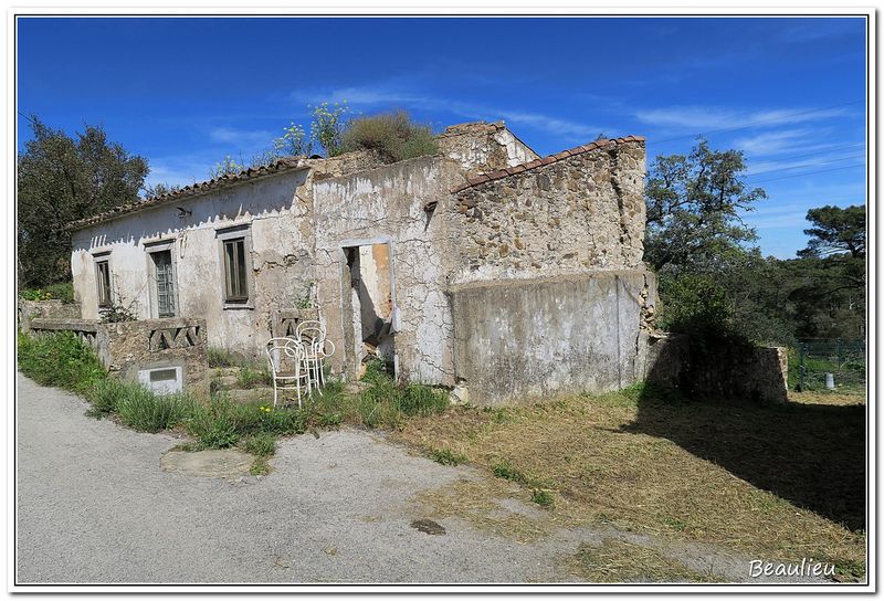 31 Vers les chnes - lige