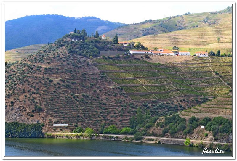 Valle du Douro 08.JPG