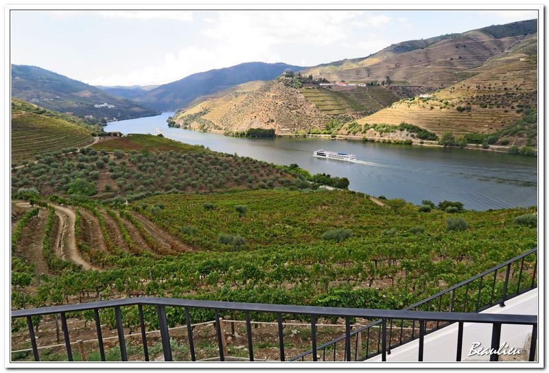 Valle du Douro 06.JPG