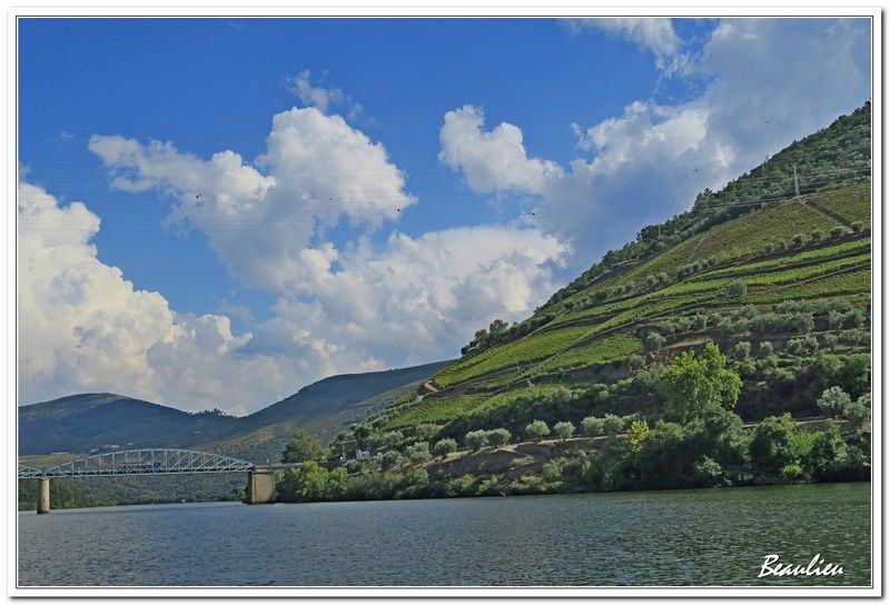 Valle du Douro 11.JPG