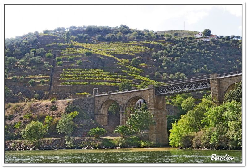 Splendide vallée du Douro