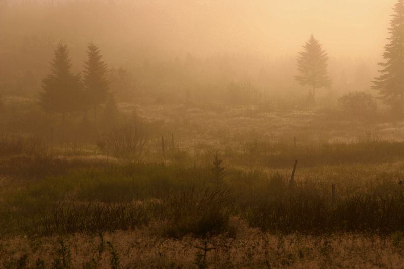 2-Promesse du petit matin.jpg