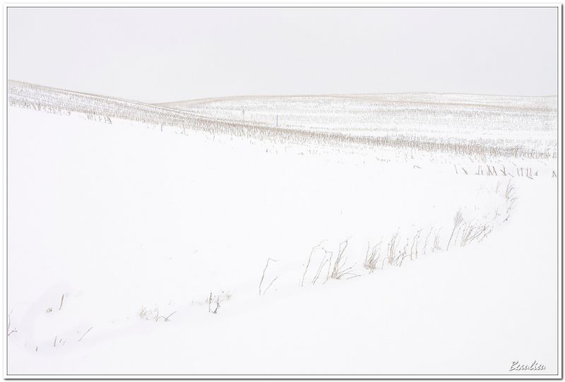 2-Mon pays, c'est l'hiver.jpg