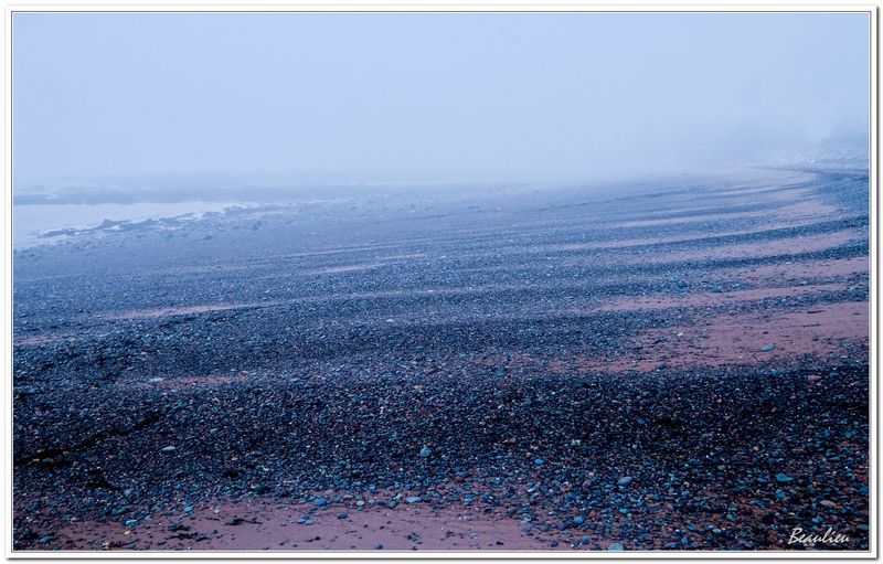 Dessin par la mare
