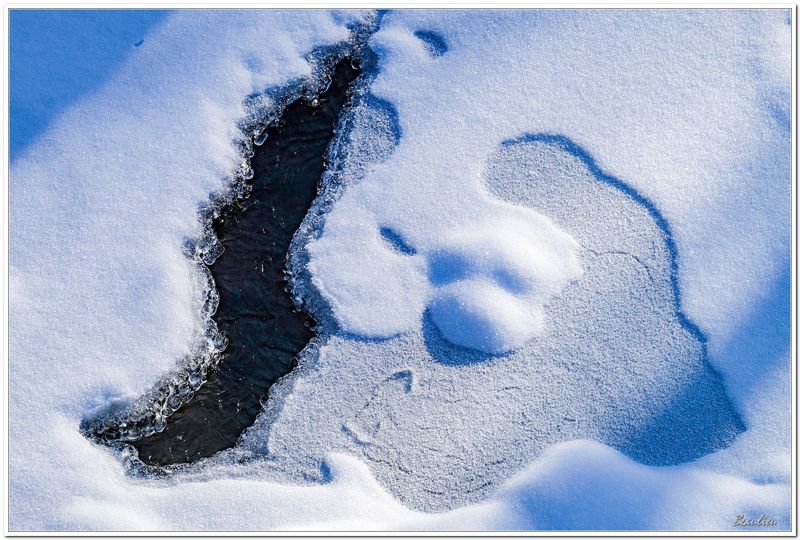 Dialogue avec le ruisseau - Dialog with the brook