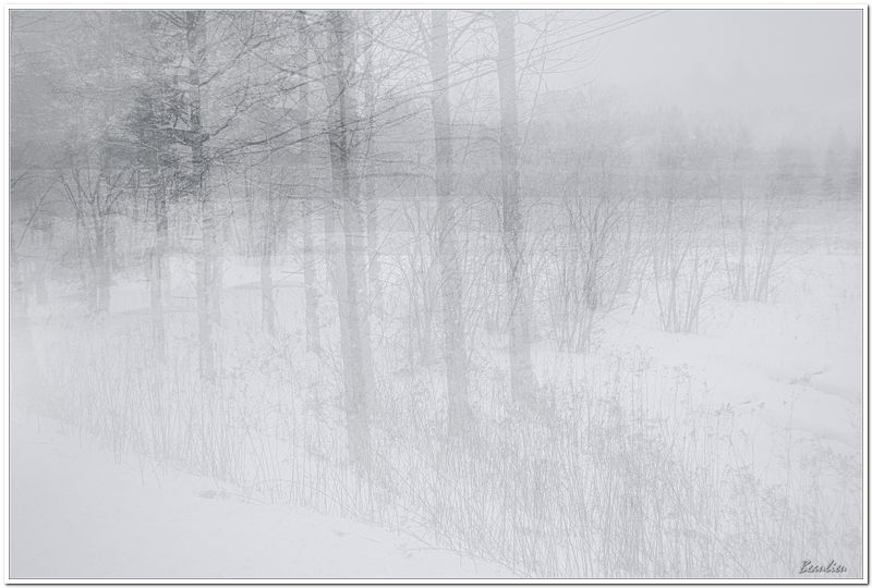 Neige, bourrasques et froid.2