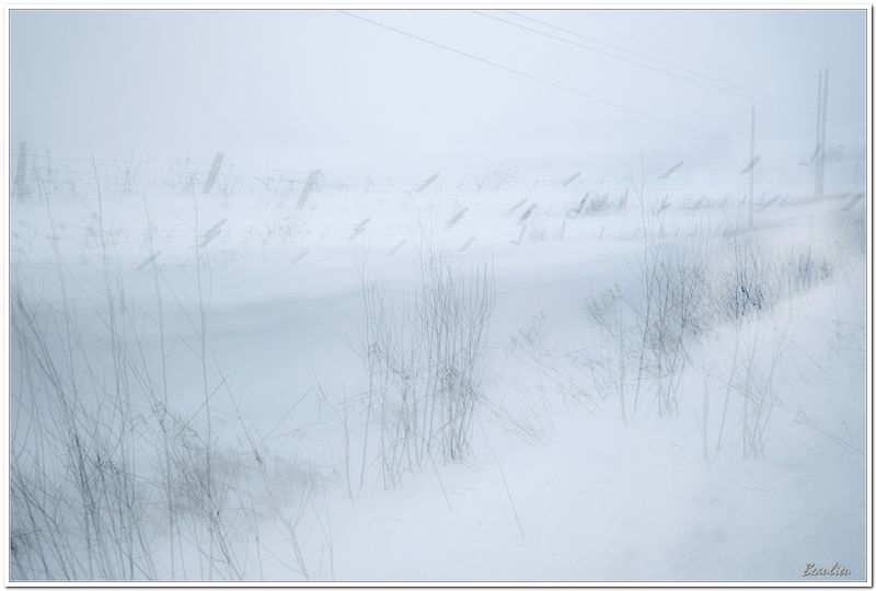 Neige, bourrasques et froid.4