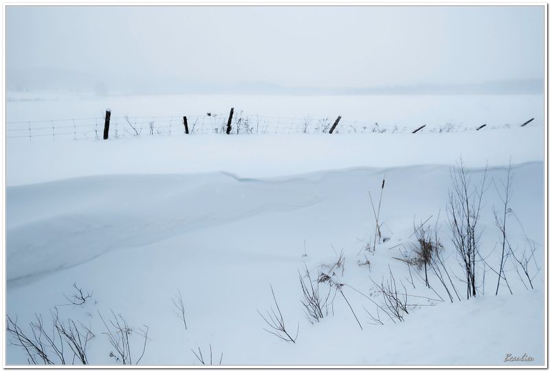 Neige, bourrasques et froid.5