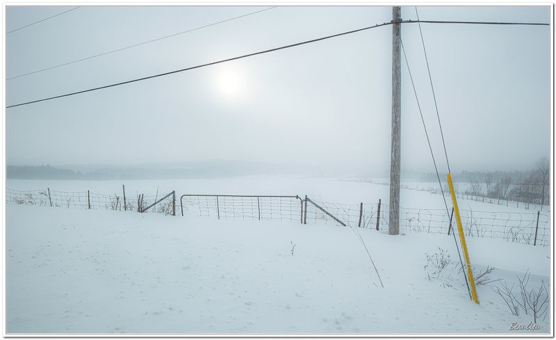 Neige, bourrasques et froid.8
