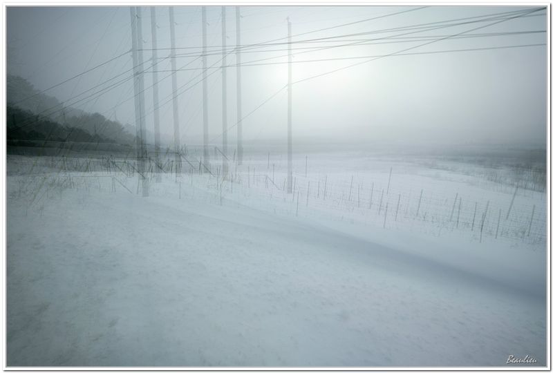 Neige, bourrasques et froid. Snow, gusts of wind and cold.