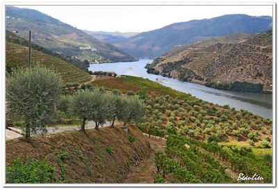 Splendide valle du Douro