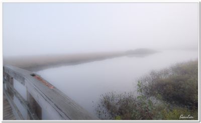 Marais de la rivire aux Cerises 2