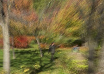 DSC07942.jpeg