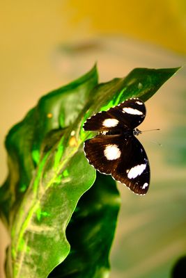 DSCF8263.jpg