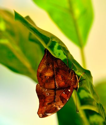 DSCF8266.jpg