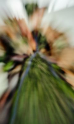 DSCF1120.jpg