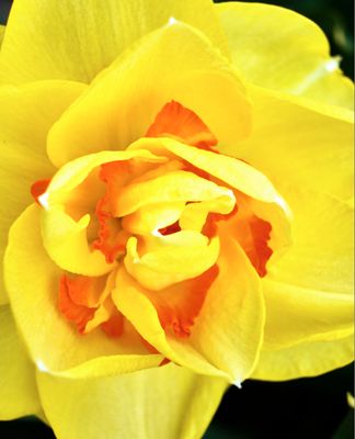 DSCF1313.jpg