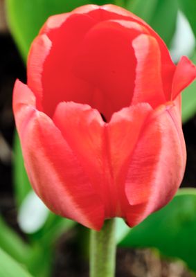 DSCF1318.jpg