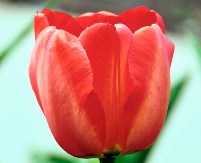 DSCF1351.jpg
