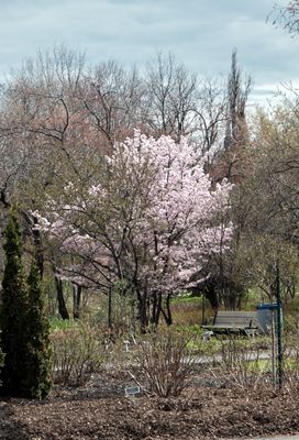 DSCF1389.jpg