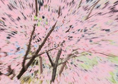 DSC01717.jpeg