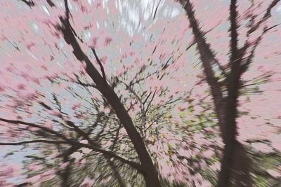 DSC01727.jpeg