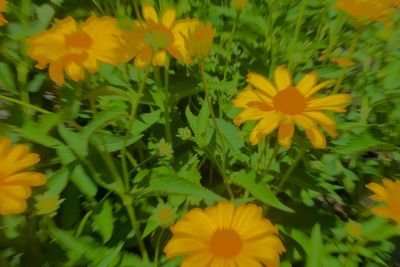 DSC01899.jpeg