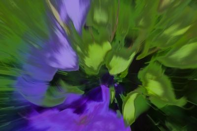 DSC01910.jpeg